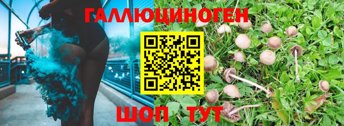 Псилоцибиновые грибы Psilocybe  Вход с VPN  Среднеуральск 