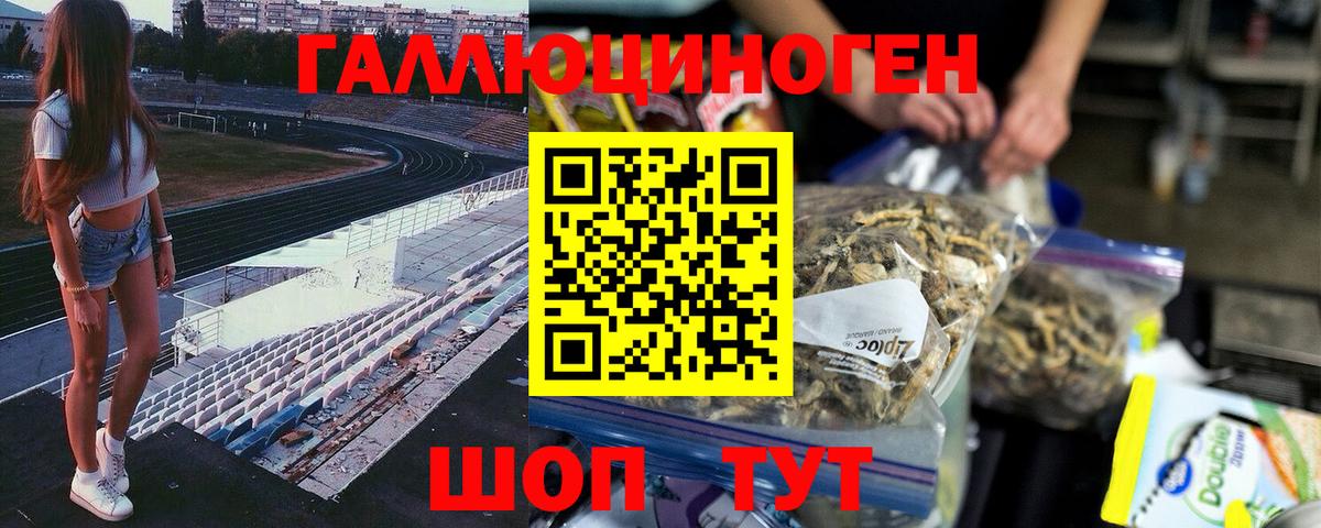 Галлюциногенные грибы Cubensis Среднеуральск
